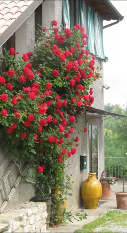Casa Mazzocchi Vista Su Poppi别墅 外观 照片